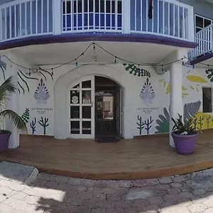 Les trois singes - Friendly Hostel Auberge de jeunesse Isla Mujeres