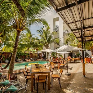 Che & Bar Adults Only Auberge de jeunesse Holbox
